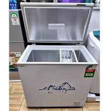 Ecomax 169 Litres Freezers