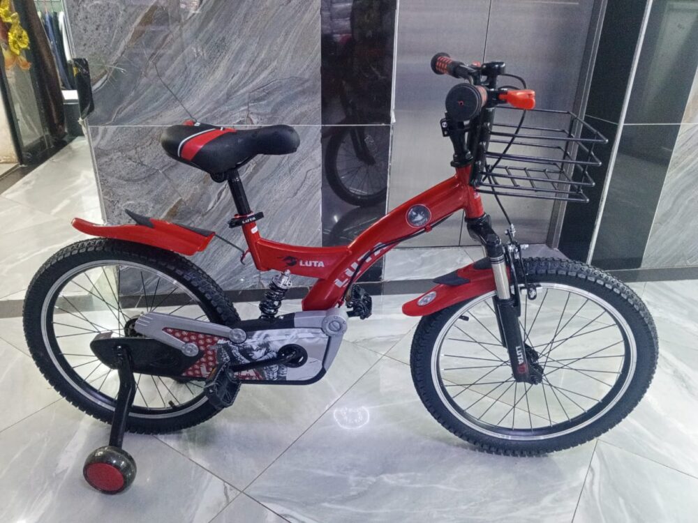 Bike Size 20 With Shock Absorber