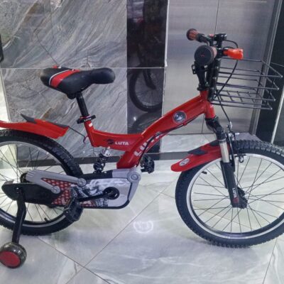 Bike Size 20 With Shock Absorber