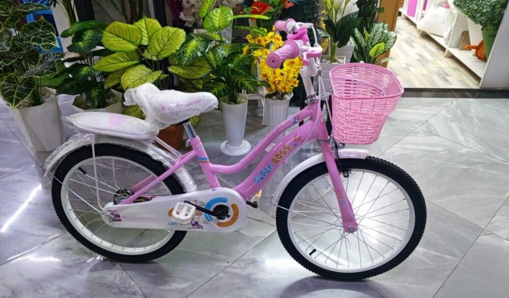 Girl Bike Size 20 - Image 2