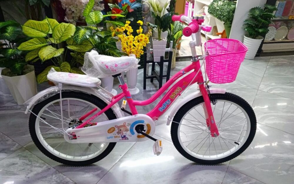 Girl Bike Size 20