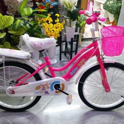 Girl Bike Size 20