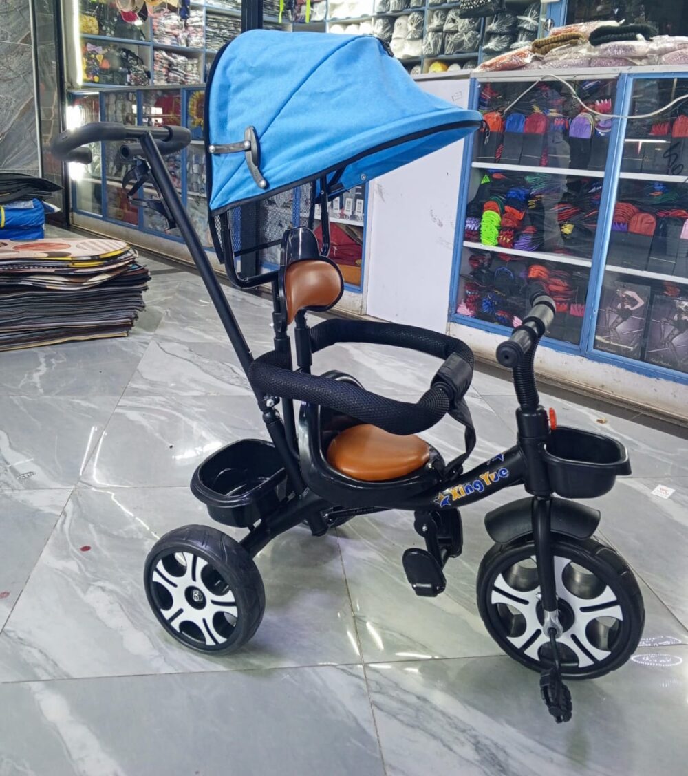 Push tricycle with detachable handle/canopy - Image 4