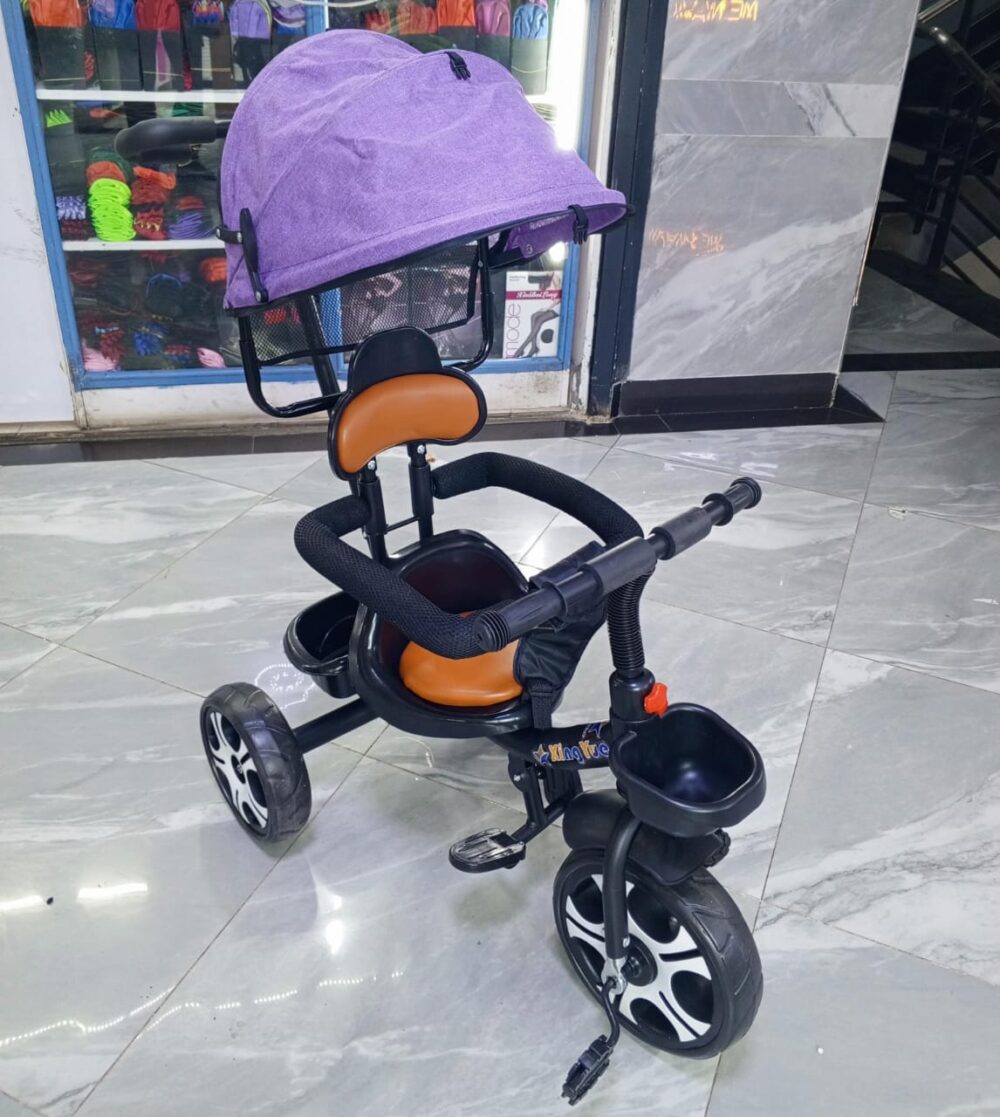 Push tricycle with detachable handle/canopy - Image 2