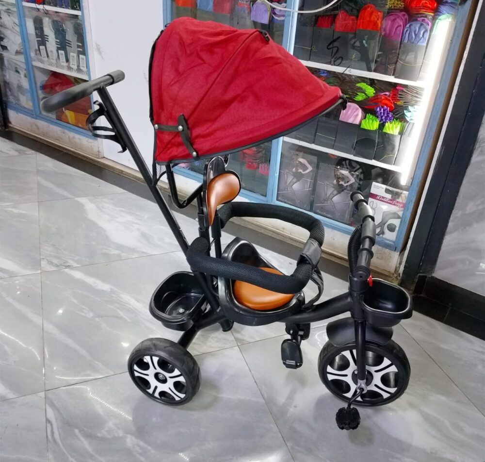 Push tricycle with detachable handle/canopy