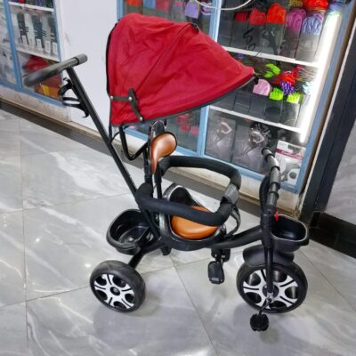 Push tricycle with detachable handle/canopy