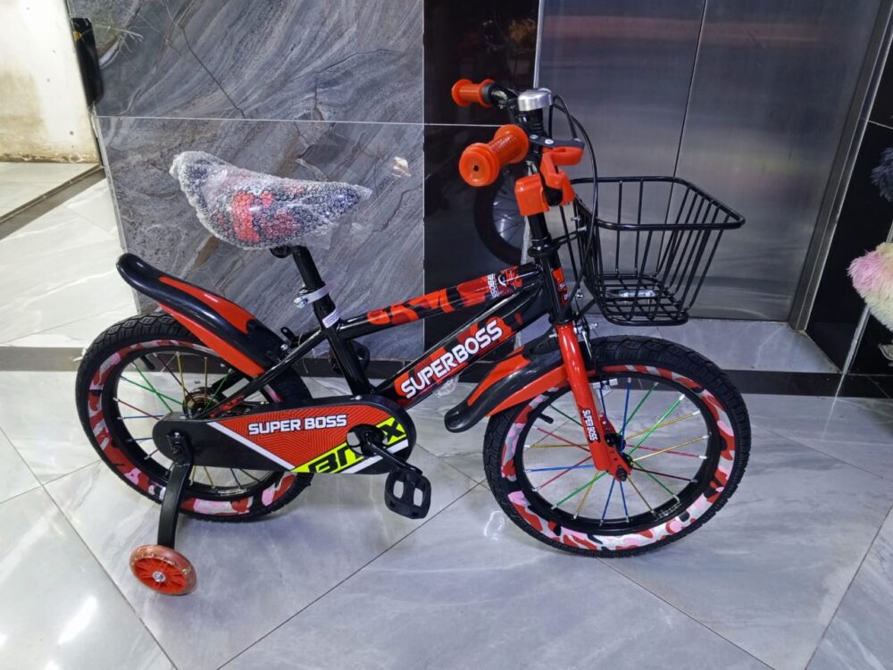 Bike Size 16