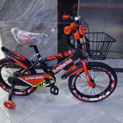 Bike Size 16